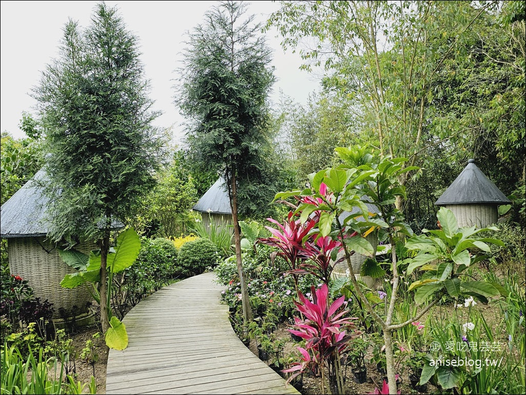 卓也小屋 | 鳶尾花開囉！祕密花園也好美，還有漂亮好吃的下午茶、健康美味的蔬食料理