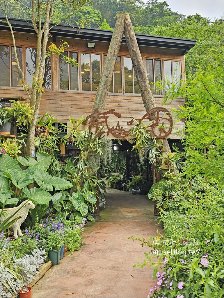 卓也小屋 | 鳶尾花開囉！祕密花園也好美，還有漂亮好吃的下午茶、健康美味的蔬食料理