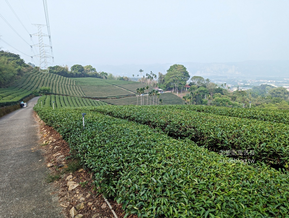 南投竹山紫南宮還願行程，挈客茵民宿、竹山文化園區(姊姊遊記)