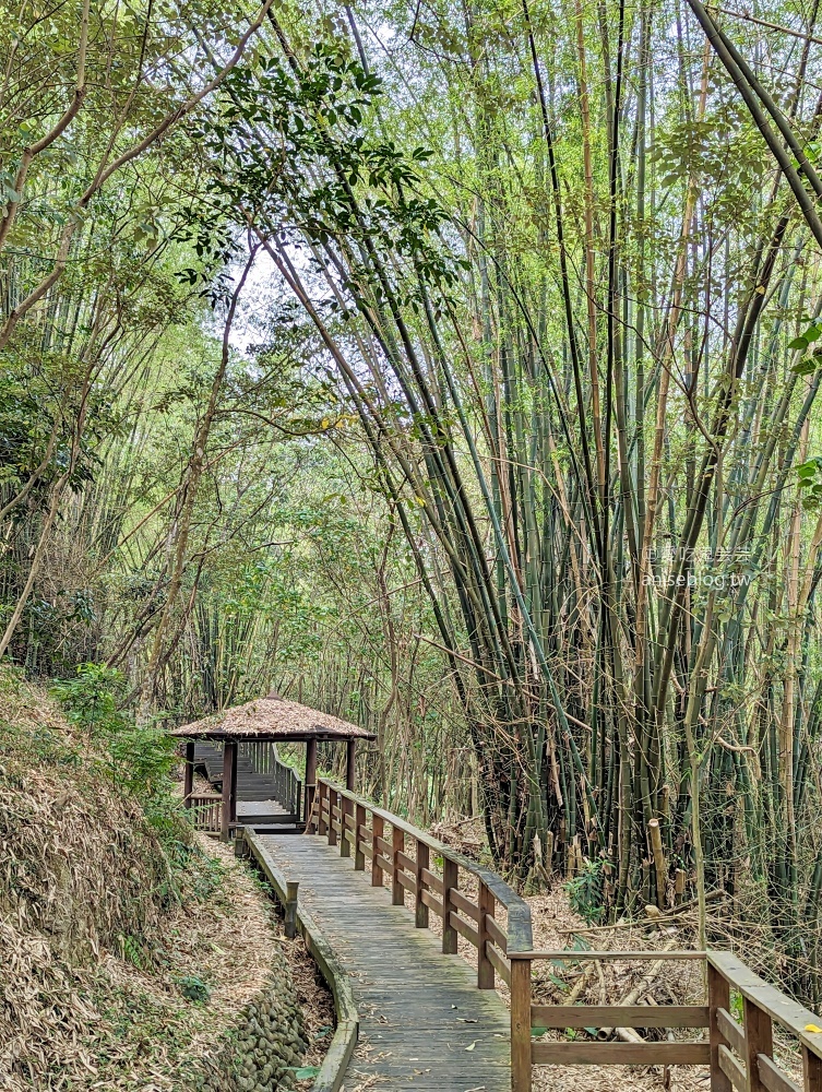 南投竹山紫南宮還願行程，挈客茵民宿、竹山文化園區(姊姊遊記)