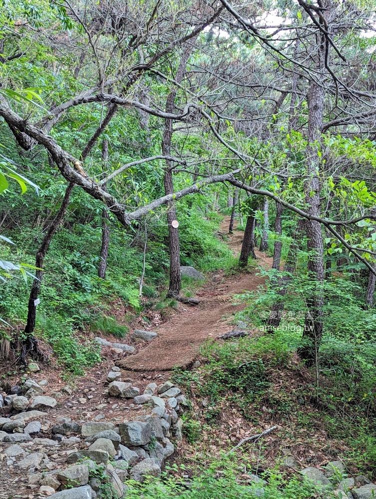 釜山夜景推薦景點，青鶴配水池展望台、荒嶺山烽燧臺、蓬萊山，交通方式(姊姊遊記)