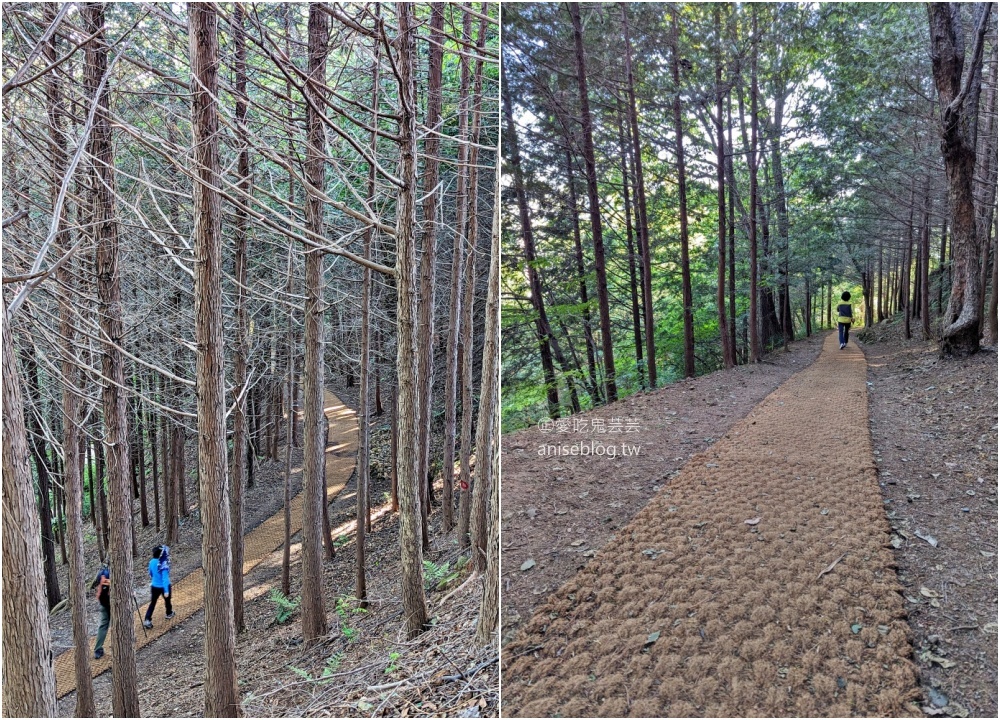 釜山夜景推薦景點，青鶴配水池展望台、荒嶺山烽燧臺、蓬萊山，交通方式(姊姊遊記)