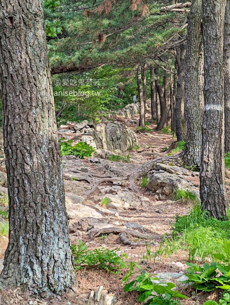 釜山夜景推薦景點，青鶴配水池展望台、荒嶺山烽燧臺、蓬萊山，交通方式(姊姊遊記)