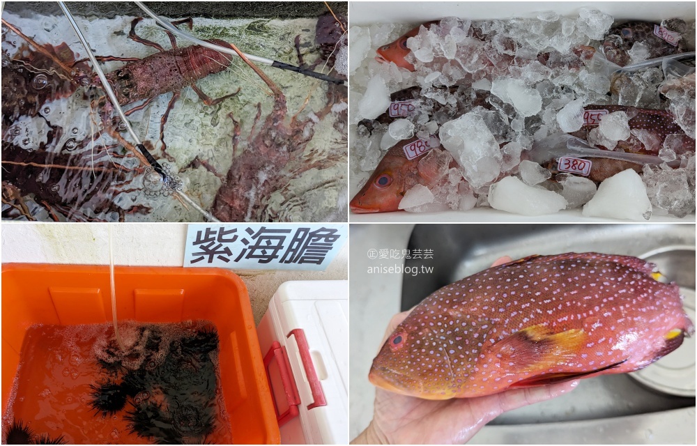 嗨九蒸鮮小吃，品嚐當季紫海膽正是時候還有滷鮑魚超厚實，東北角貢寮美食(姊姊食記)