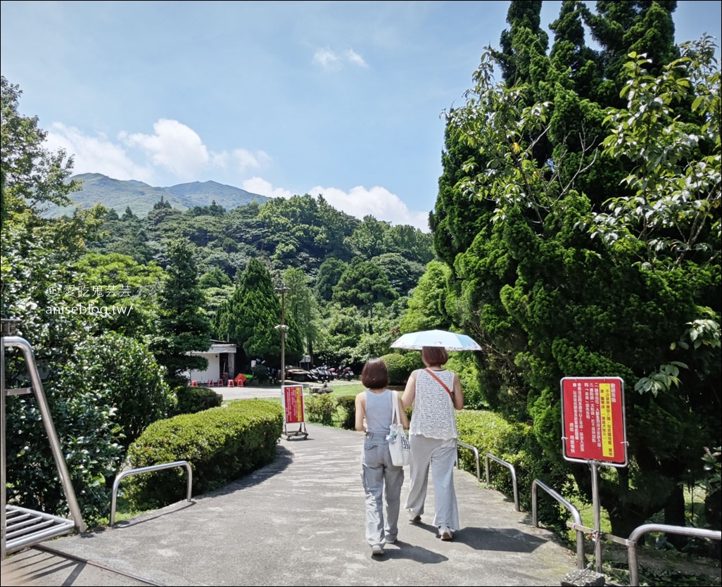 冠宸食館，陽明山土雞第一把交椅，一天只營業四小時，賣完為止！(含2024菜單)