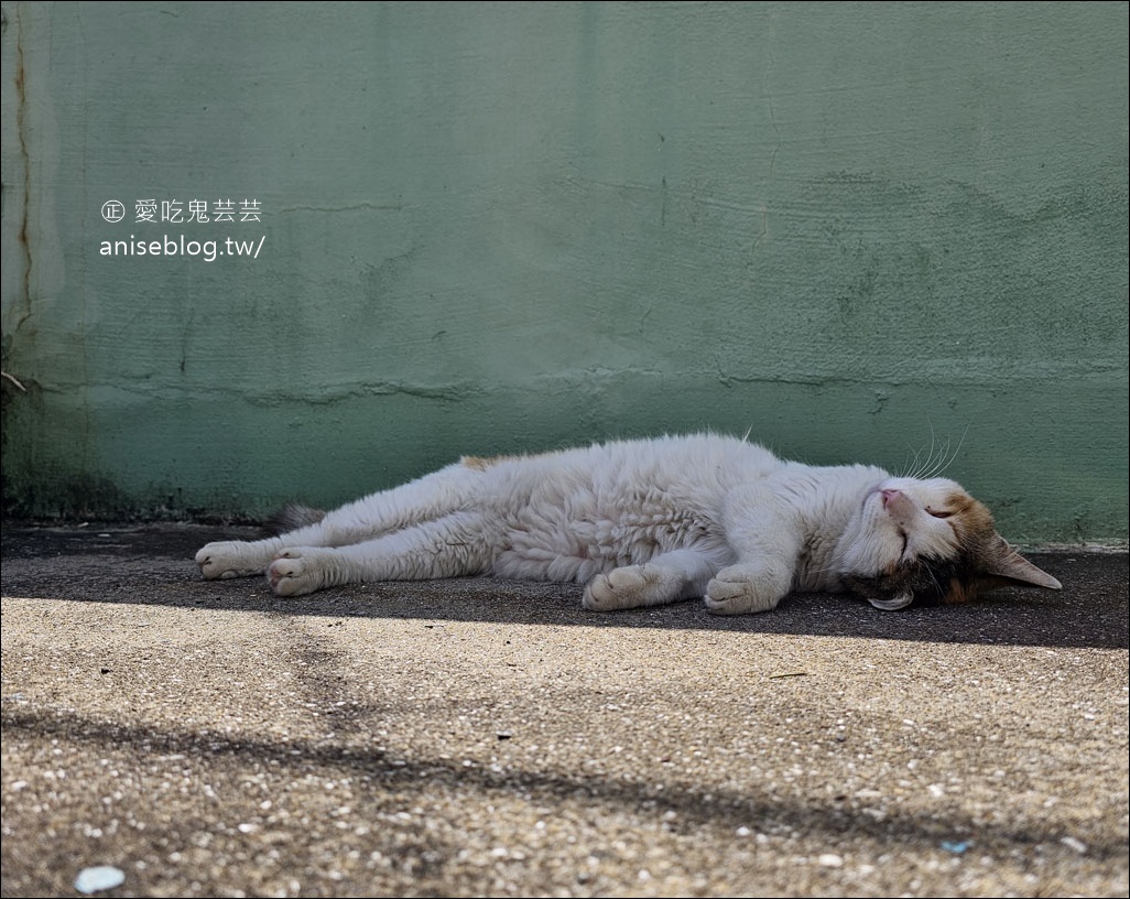 白淺灘文化村，難民村聚集地搖身一變濱海浪漫藝術村