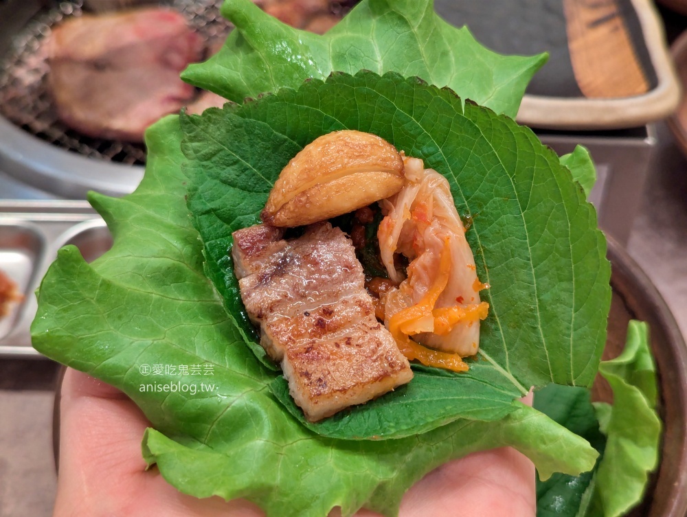 菜豚屋林口三井店，台北雨天備案好處去(姊姊食記)