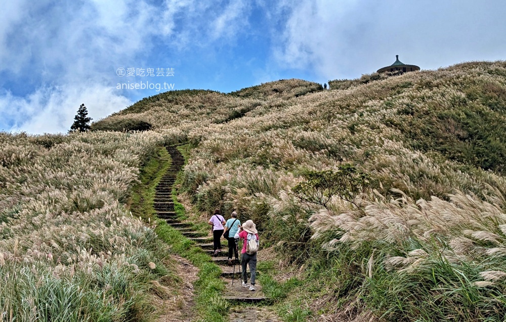 陽明山芒草季，冷水坑七星山主東峰步道(姊姊遊記)