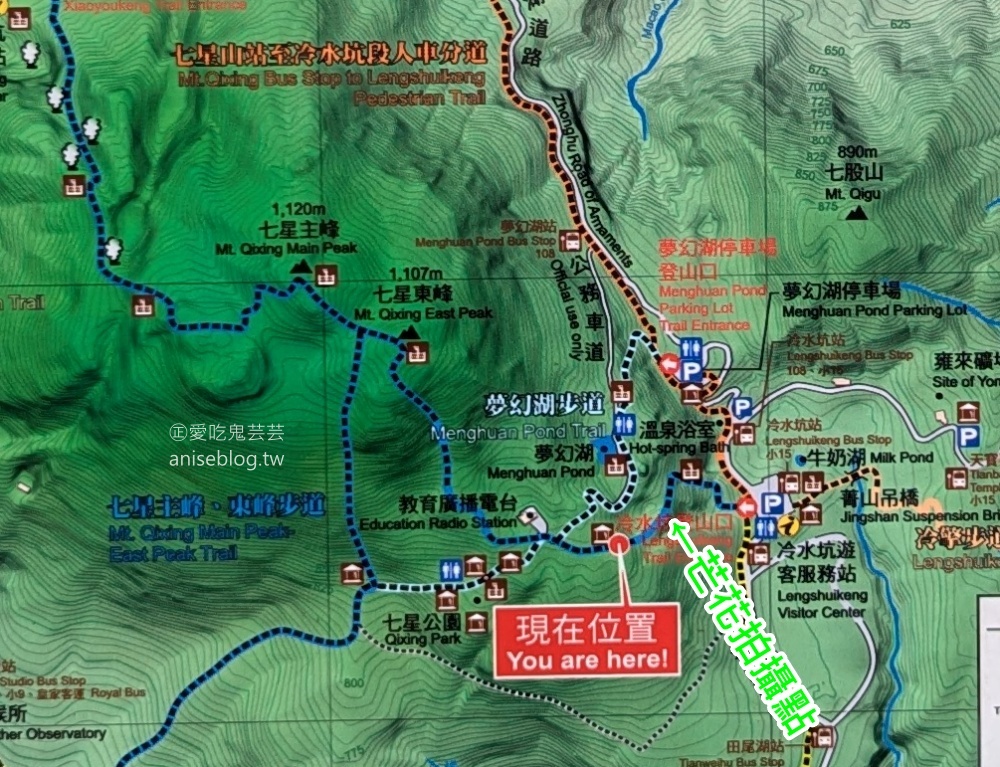 陽明山芒草季，冷水坑七星山主東峰步道(姊姊遊記)