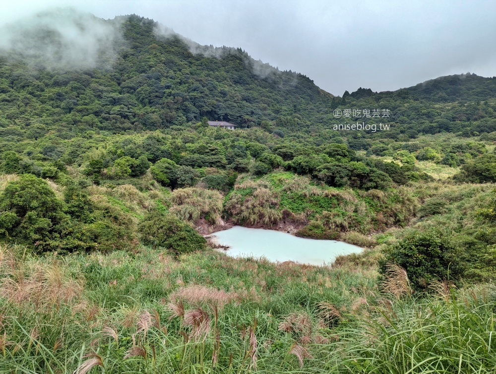 陽明山芒草季，冷水坑七星山主東峰步道(姊姊遊記)