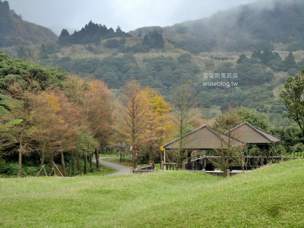 陽明山芒草季，冷水坑七星山主東峰步道(姊姊遊記)