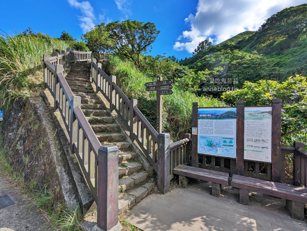 陽明山芒草季，冷水坑七星山主東峰步道(姊姊遊記)