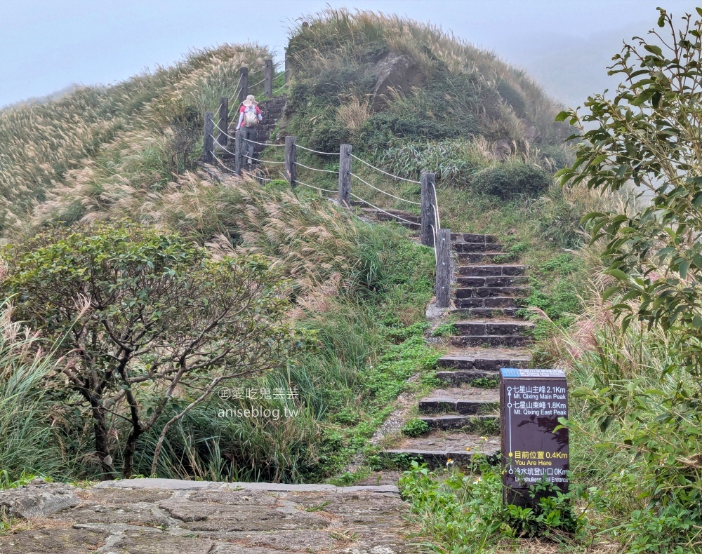 陽明山芒草季，冷水坑七星山主東峰步道(姊姊遊記)