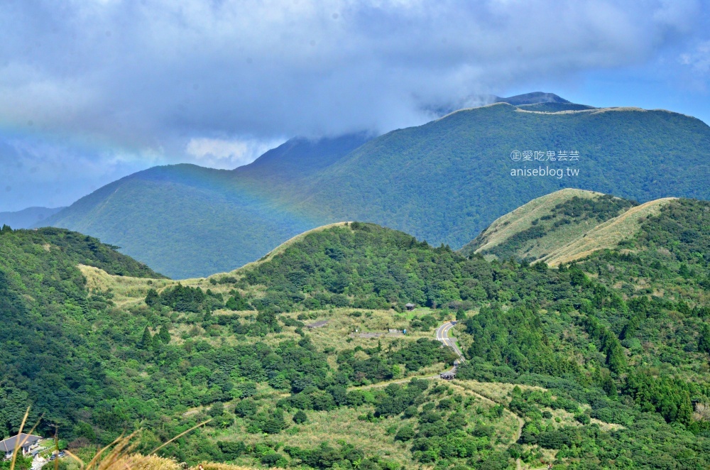 陽明山芒草季，冷水坑七星山主東峰步道(姊姊遊記)