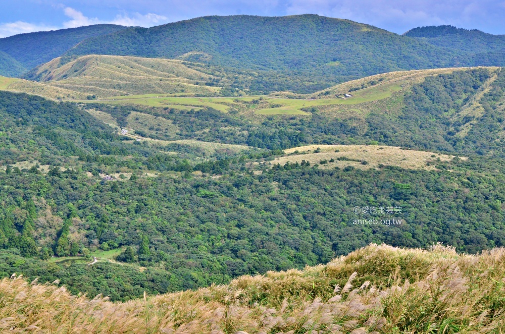 陽明山芒草季，冷水坑七星山主東峰步道(姊姊遊記)