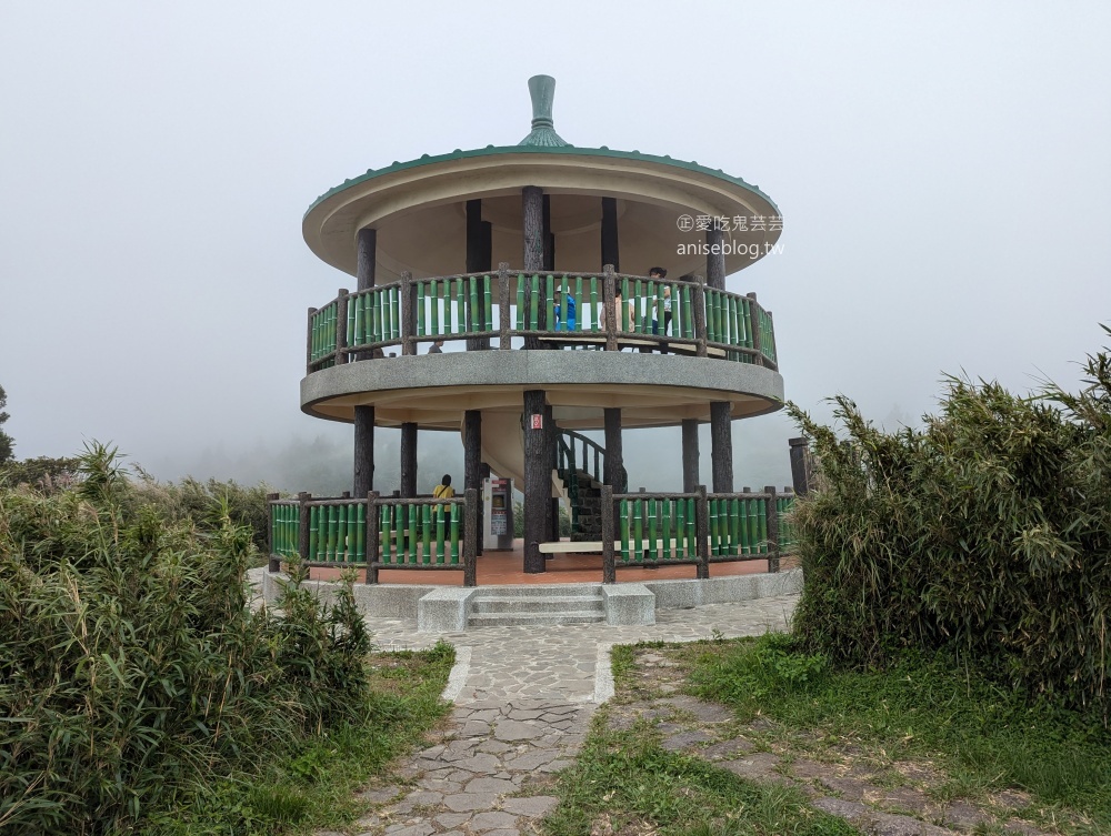 陽明山芒草季，冷水坑七星山主東峰步道(姊姊遊記)