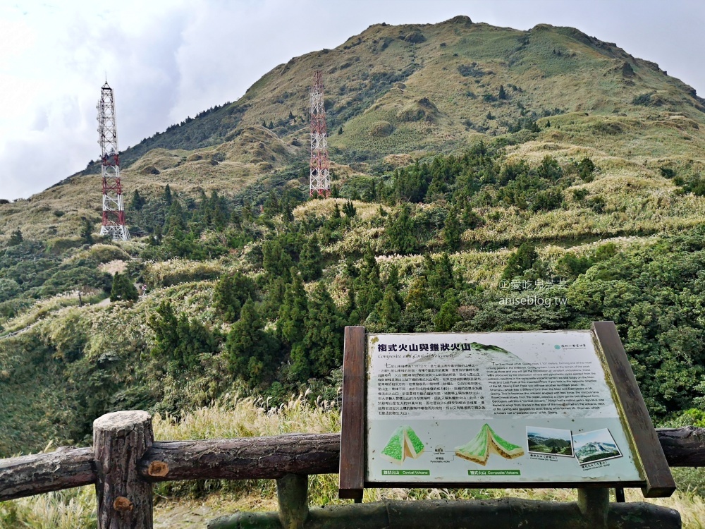 陽明山芒草季，冷水坑七星山主東峰步道(姊姊遊記)