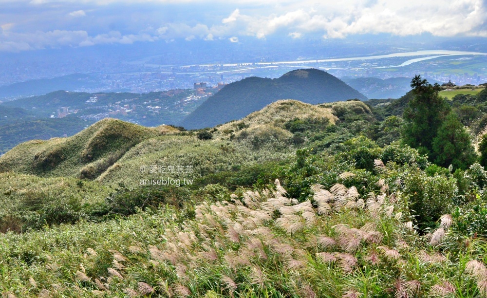 陽明山芒草季，冷水坑七星山主東峰步道(姊姊遊記)