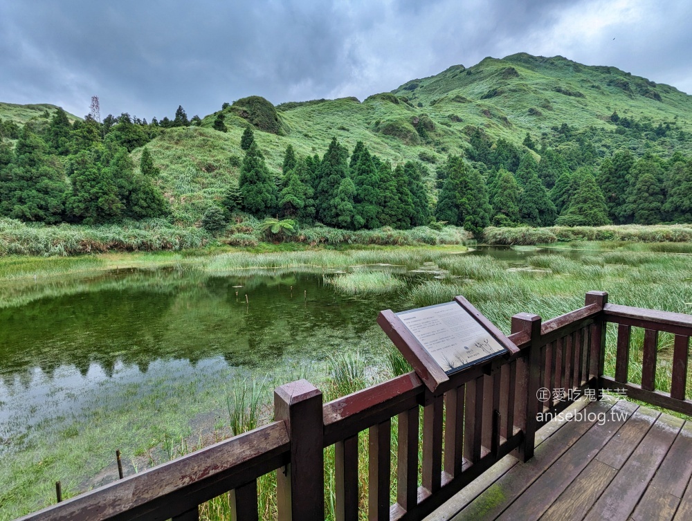 陽明山芒草季，冷水坑七星山主東峰步道(姊姊遊記)