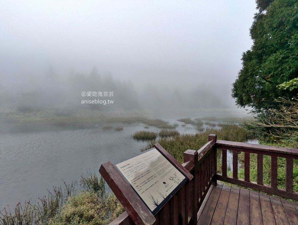 陽明山芒草季，冷水坑七星山主東峰步道(姊姊遊記)