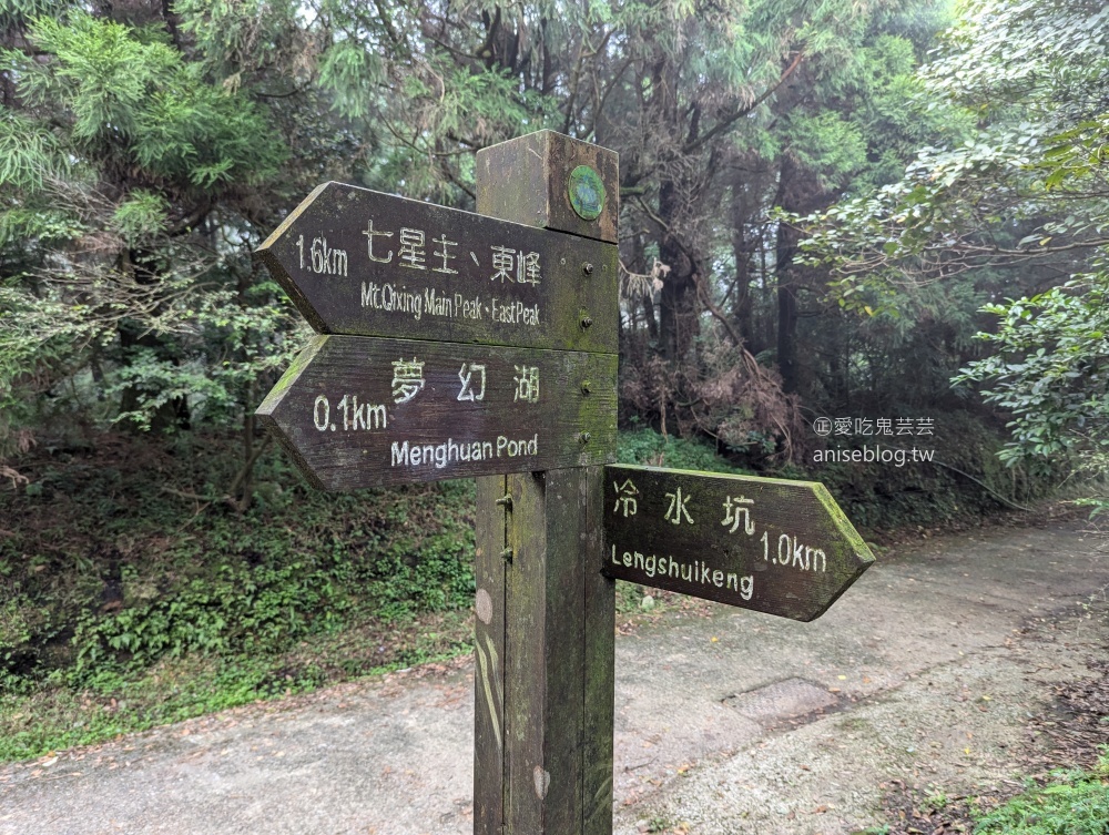 陽明山芒草季，冷水坑七星山主東峰步道(姊姊遊記)