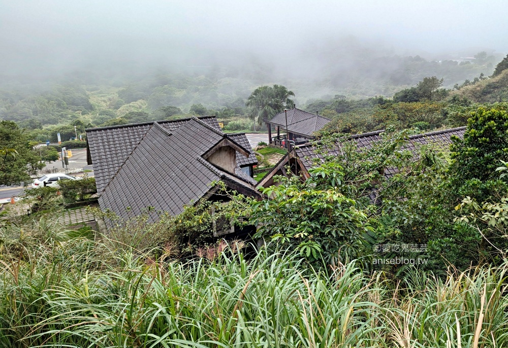 陽明山芒草季，冷水坑七星山主東峰步道(姊姊遊記)