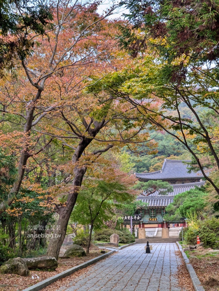 金井山梵魚寺交通，金井山城北門登頂姑堂峰，釜山賞楓推薦行程(姊姊遊記)