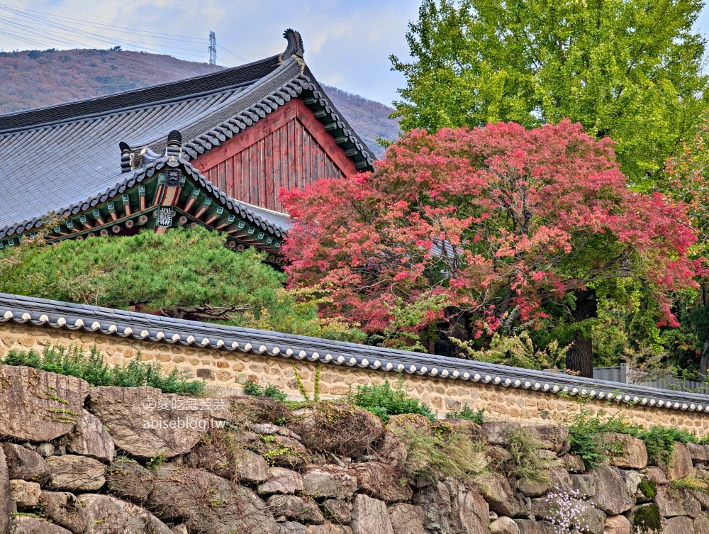 金井山梵魚寺交通，金井山城北門登頂姑堂峰，釜山賞楓推薦行程(姊姊遊記)