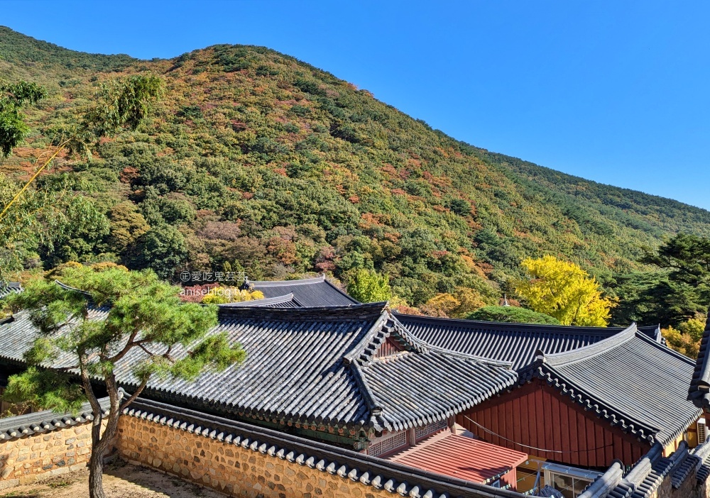 金井山梵魚寺交通，金井山城北門登頂姑堂峰，釜山賞楓推薦行程(姊姊遊記)