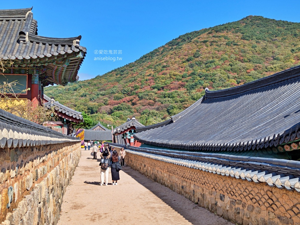 金井山梵魚寺交通，金井山城北門登頂姑堂峰，釜山賞楓推薦行程(姊姊遊記)