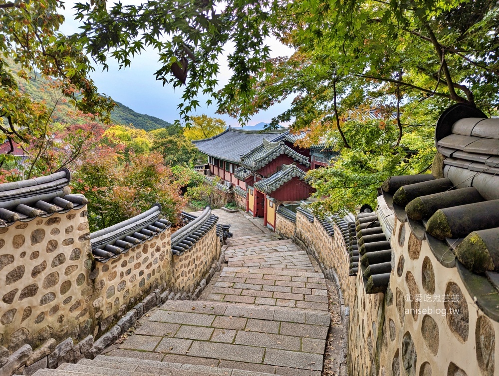 金井山梵魚寺交通，金井山城北門登頂姑堂峰，釜山賞楓推薦行程(姊姊遊記)