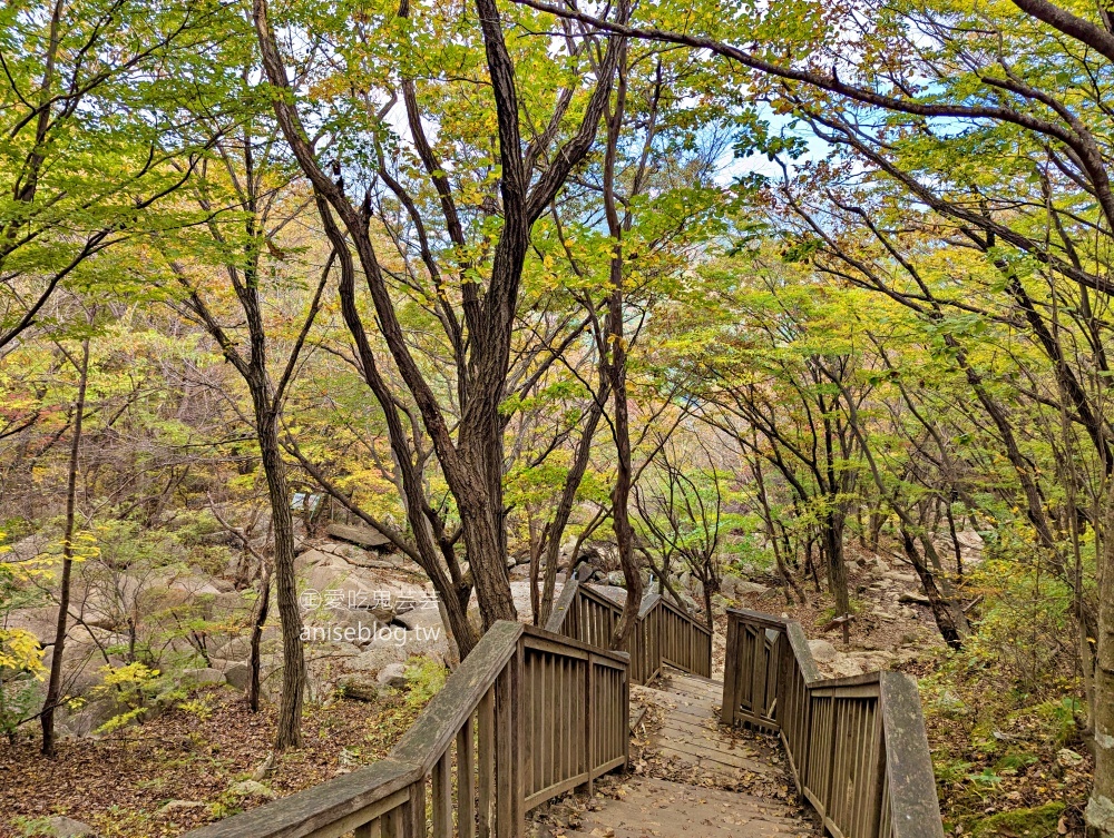 金井山梵魚寺交通，金井山城北門登頂姑堂峰，釜山賞楓推薦行程(姊姊遊記)