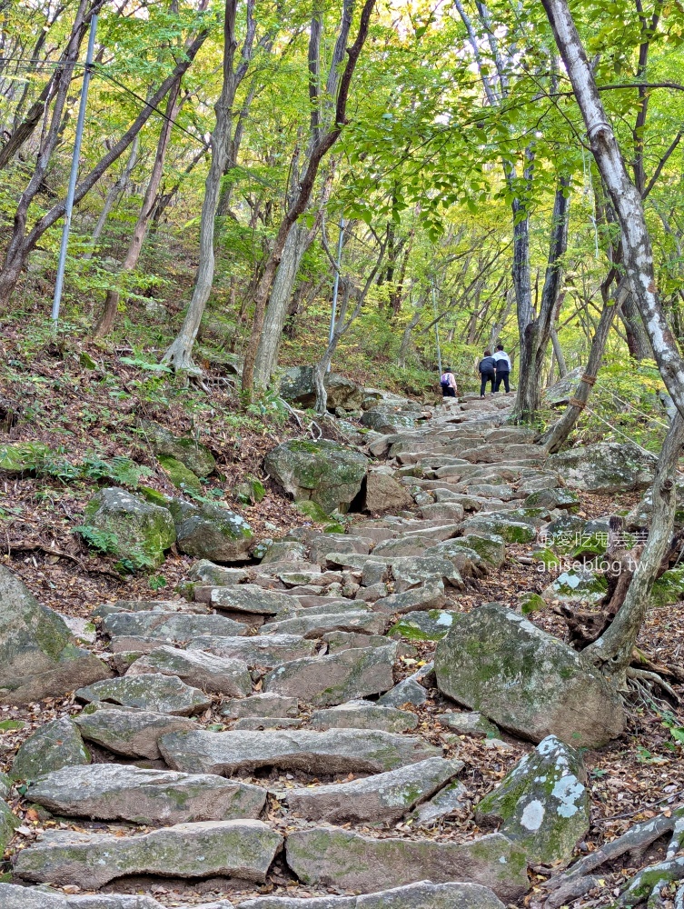 金井山梵魚寺交通，金井山城北門登頂姑堂峰，釜山賞楓推薦行程(姊姊遊記)