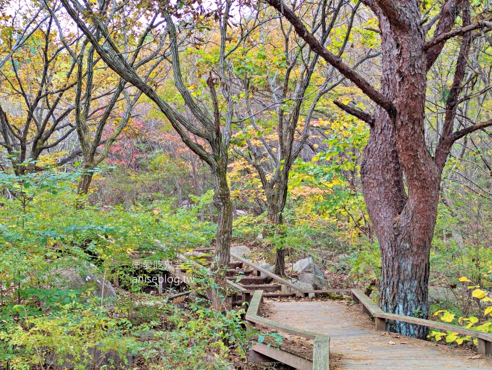 金井山梵魚寺交通，金井山城北門登頂姑堂峰，釜山賞楓推薦行程(姊姊遊記)