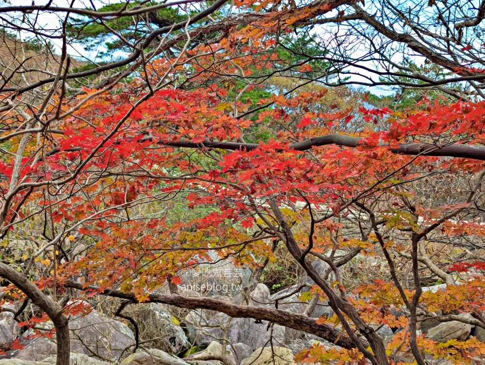 金井山梵魚寺交通，金井山城北門登頂姑堂峰，釜山賞楓推薦行程(姊姊遊記)