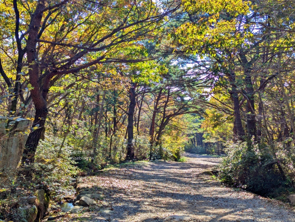 金井山梵魚寺交通，金井山城北門登頂姑堂峰，釜山賞楓推薦行程(姊姊遊記)