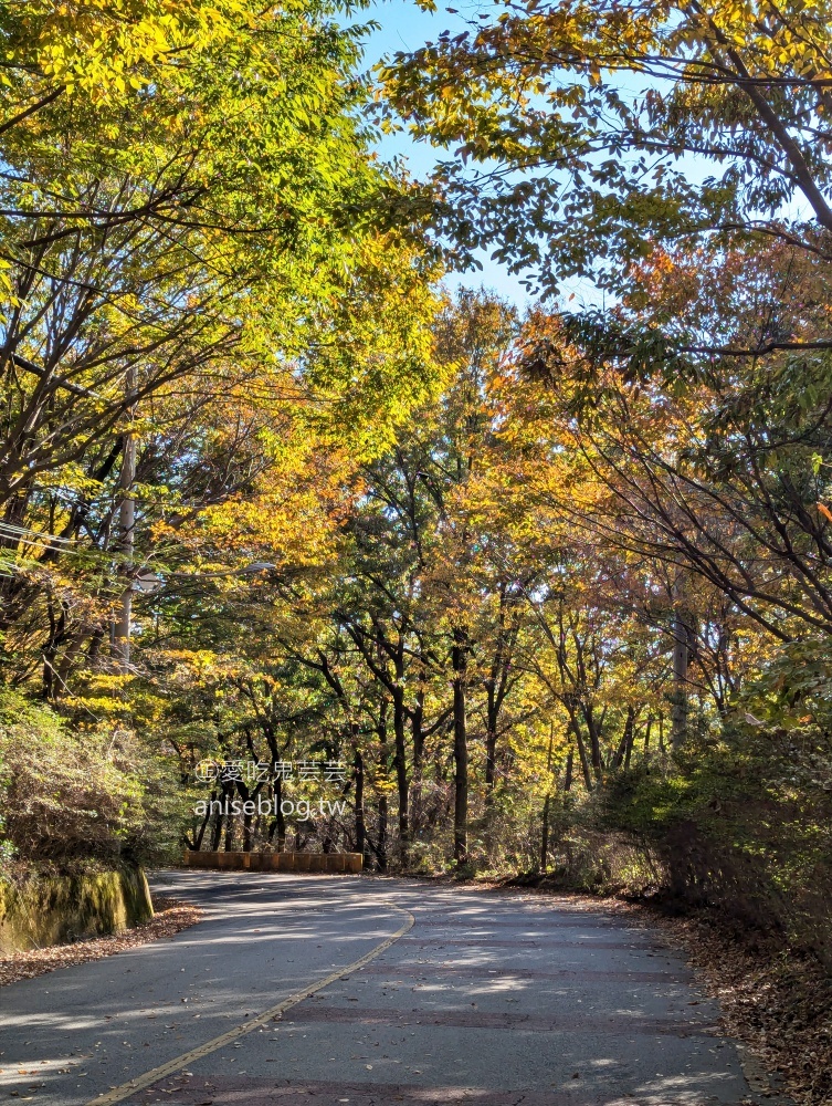 金井山梵魚寺交通，金井山城北門登頂姑堂峰，釜山賞楓推薦行程(姊姊遊記)