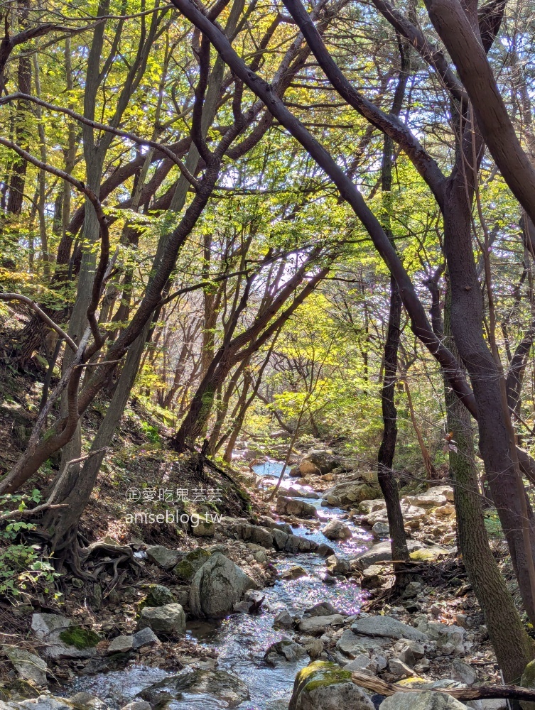 金井山梵魚寺交通，金井山城北門登頂姑堂峰，釜山賞楓推薦行程(姊姊遊記)