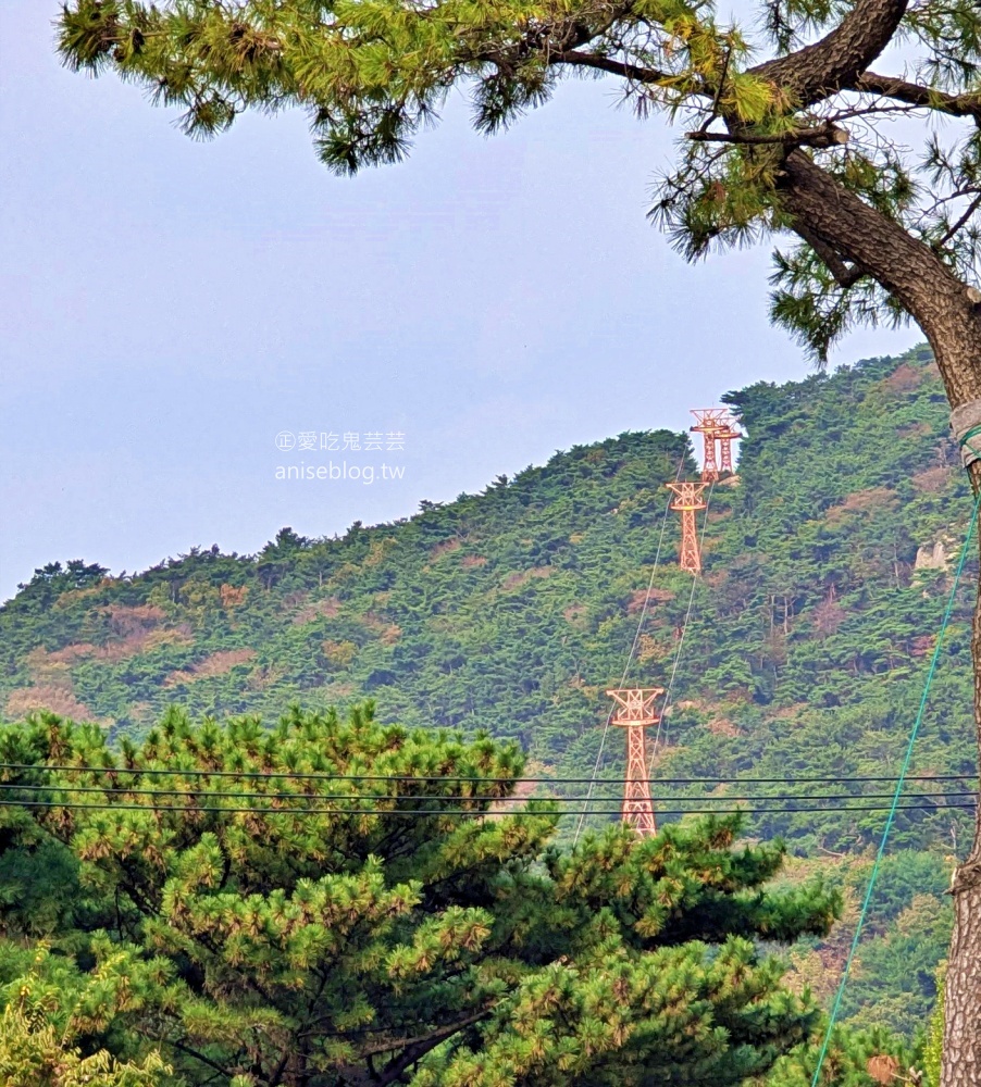 金剛公園纜車，金井山城南門，釜山賞楓景點(姊姊遊記)