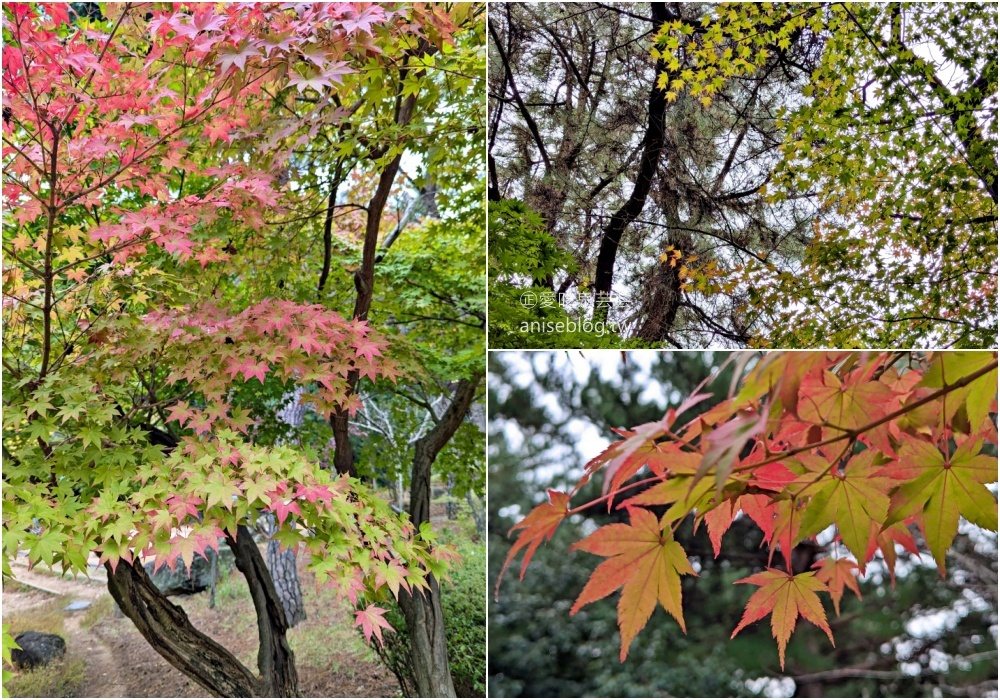 金剛公園纜車，金井山城南門，釜山賞楓景點(姊姊遊記)