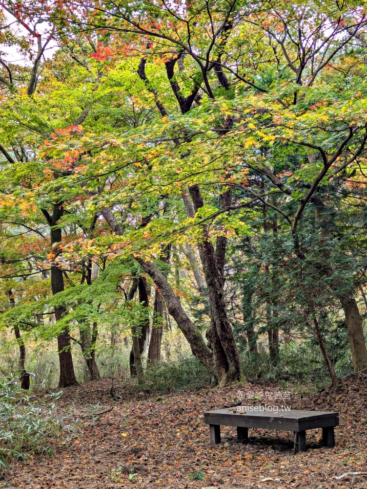 金剛公園纜車，金井山城南門，釜山賞楓景點(姊姊遊記)