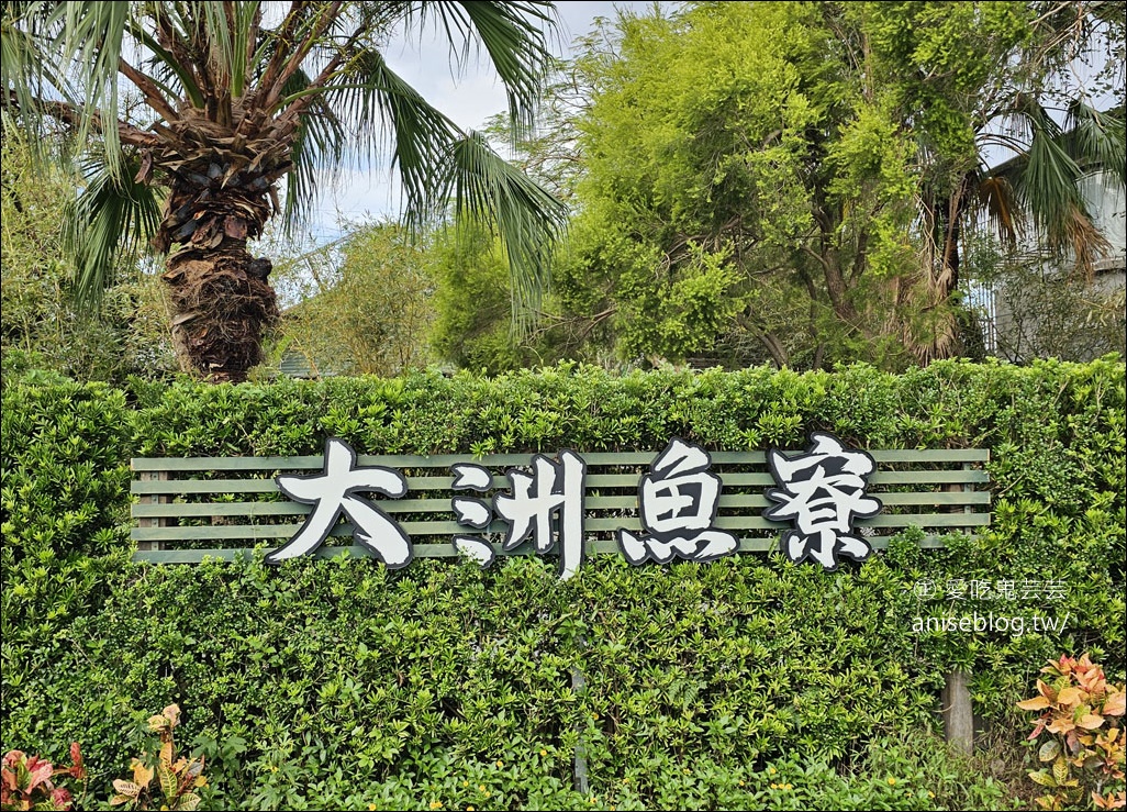 大洲魚寮海鮮燒物，宜蘭無菜單料理，親子友善餐廳 (文末本季菜單)