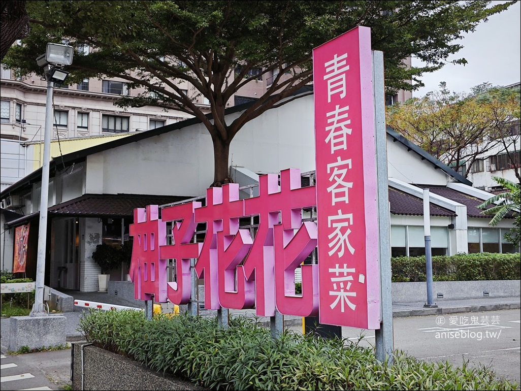 柚子花花青春客家菜（桃園旗艦店），中正藝文特區美食