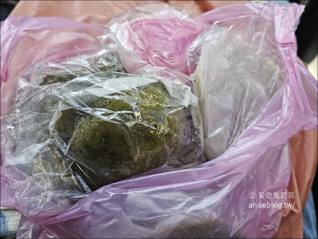 埔里美食 | 柳家草仔粿，超大顆草仔粿，好吃又不貴