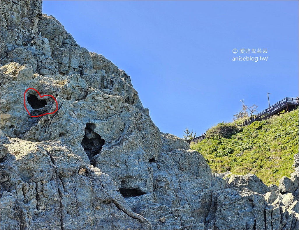 釜山景點 | 五六島天空步道+二妓台海岸散步路線