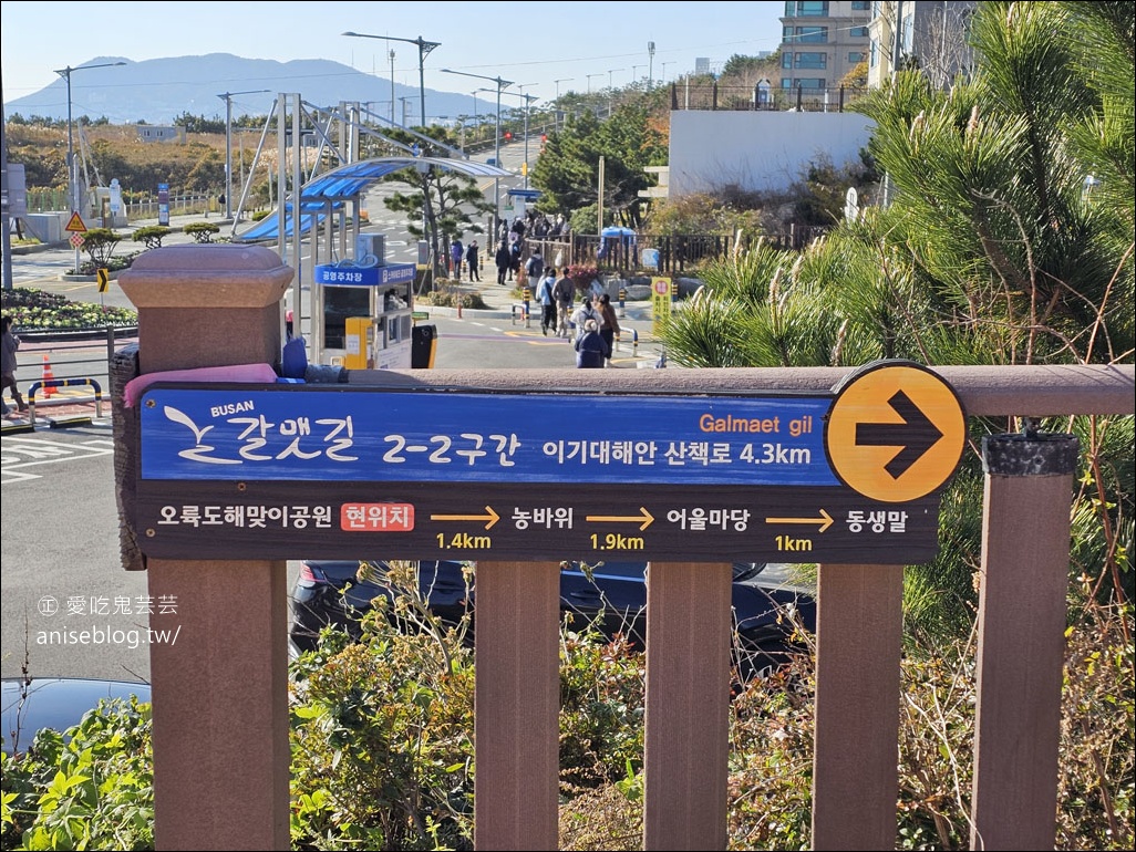 釜山景點 | 五六島天空步道+二妓台海岸散步路線