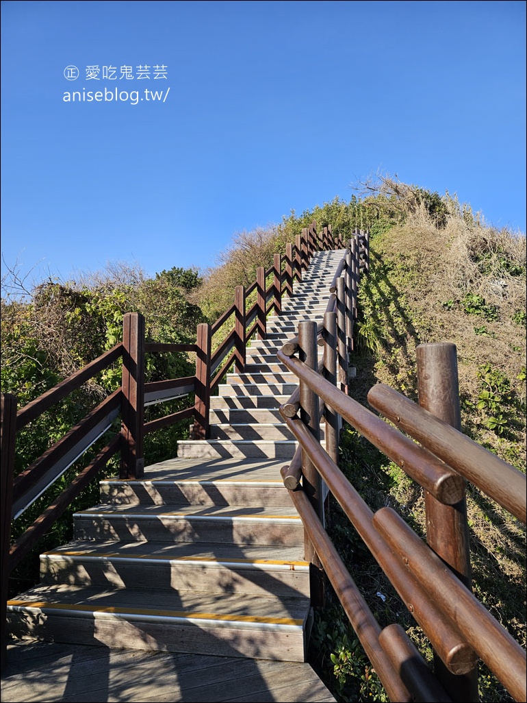 釜山景點 | 五六島天空步道+二妓台海岸散步路線