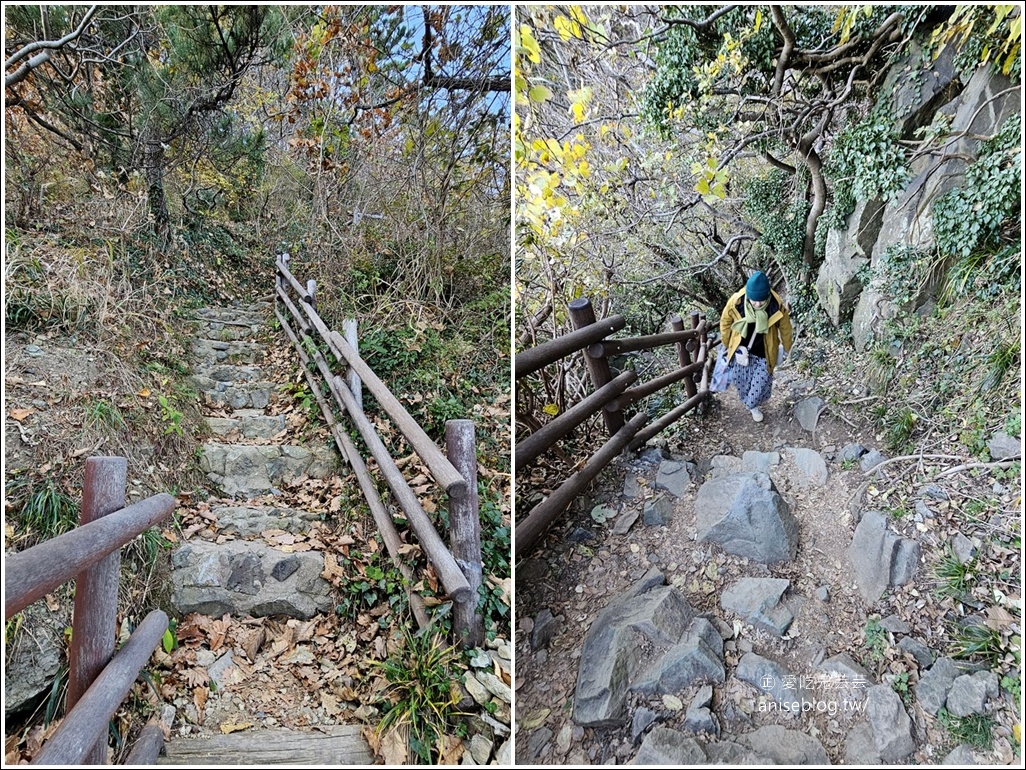 釜山景點 | 五六島天空步道+二妓台海岸散步路線