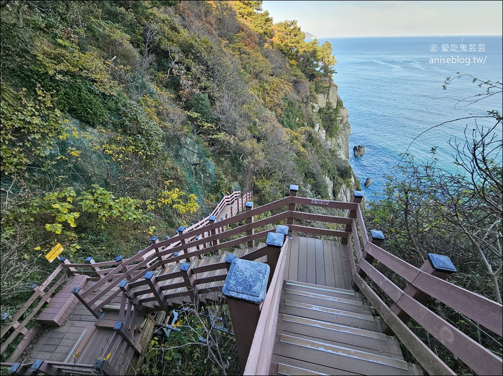 釜山景點 | 五六島天空步道+二妓台海岸散步路線