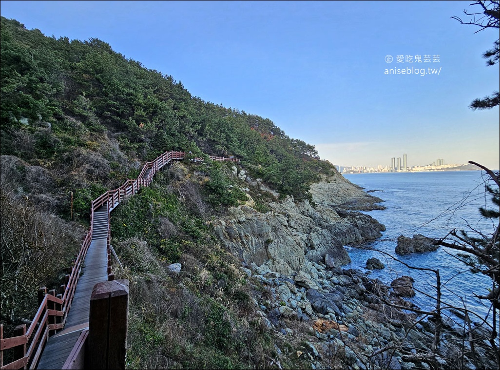 釜山景點 | 五六島天空步道+二妓台海岸散步路線